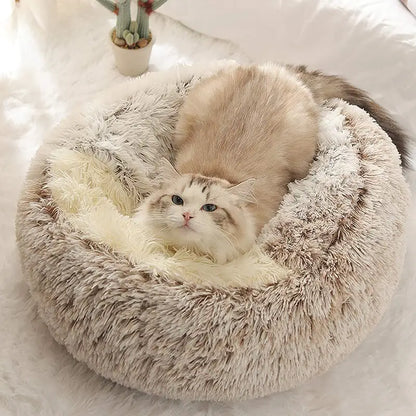 Zooliva Cuddle Bed